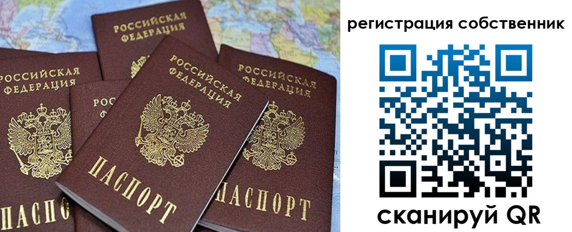 прописка для школы в Ельце